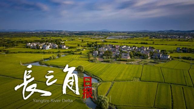开云体育官方网站-【长三角日报】“苏超”第四周赛事，预约购票提前